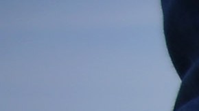 Imágenes sensibles: Más de 2,000 vacas mueren por ola de calor en Kansas City