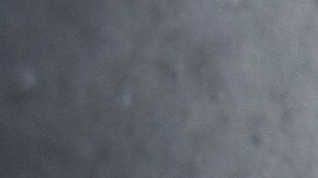 Los oficiales observaron dos perros Rottweiler en el patio cuando acudieron al sitio.