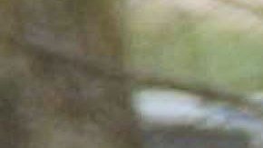 La policía informó que al menos 3 personas perdieron la vida durante un nuevo tiroteo.