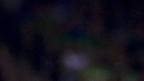 La pareja anunció oficialmente su separación este sábado.