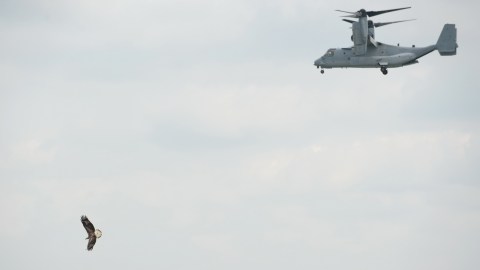 Se trata del segundo accidente de un avión militar en 48 horas.