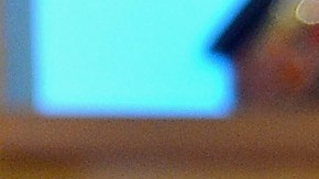 Alejandro Chabán junto a la actriz Bella Thorne.