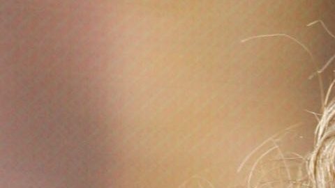 Aseguran que Shakira quiere construir un muro en su mansión de Barcelona