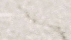 Perro Bulldog inglés.