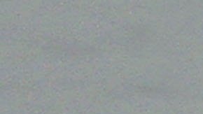 El caimán arrastró al hombre hasta un estanque.