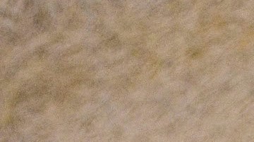 Expertos considera que un cheque de estímulo es la mejor forma de ayudar a enfrentar el alto costo de la gasolina.