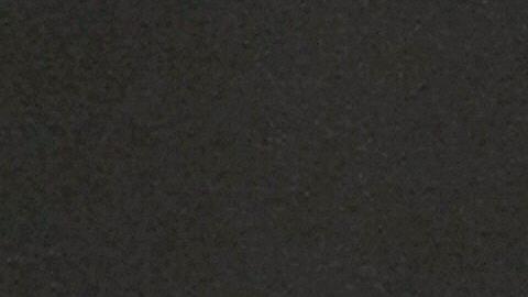 Un mono araña "vestido de sicario", murió durante un enfrentamiento en el Estado de México.