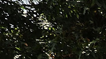 White Supremacists Rally In Knoxville Draws Counter Protest