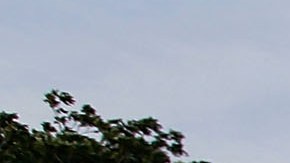 US Postal Service To Offer Large Number Of Buyouts To Save Costs