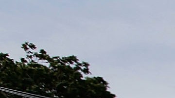 US Postal Service To Offer Large Number Of Buyouts To Save Costs