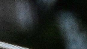 Golden State Warrior celebró su título de NBA junto a miles de personas