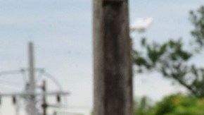 FBL-WC-2022-ECU-TRAINING