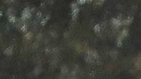 Photo © 2022 Mega/The Grosby Group.