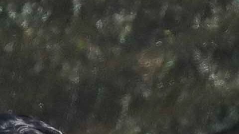 Photo © 2022 Mega/The Grosby Group.