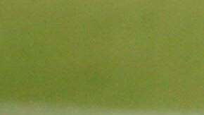 Roberto Carlos dedicó emotivas palabras a Marcelo en su despedida con el Real Madrid