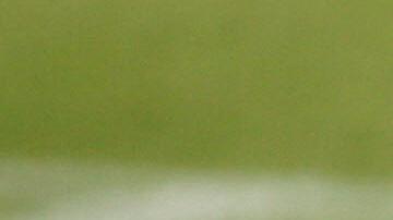 Roberto Carlos dedicó emotivas palabras a Marcelo en su despedida con el Real Madrid