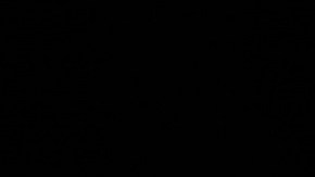 BOX-US-ALVAREZ-PLANT