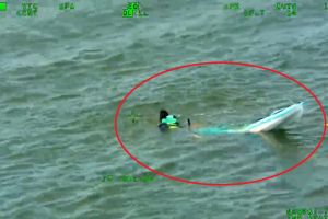 VIDEO: Dramático rescate de persona que cayó de su kayak en bahía de Queens