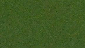 Roban a jugador del PSG en casa de Ronaldo Nazario