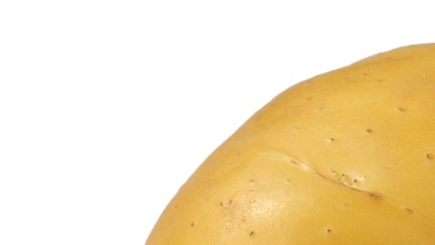 Patatas