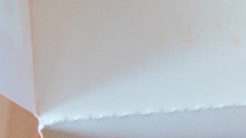 Pollo frito de Popeyes