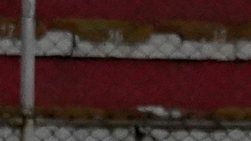 Qatar 2022 selecciones de América Latina