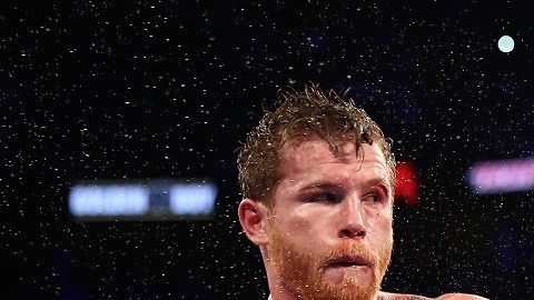 Gennady Golovkin v Canelo Alvarez