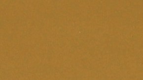 Vinicius y Richarlison se pelean en pleno entrenamiento de Brasil