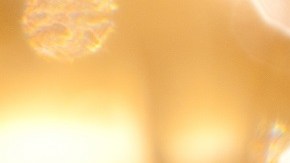 Vitamina D