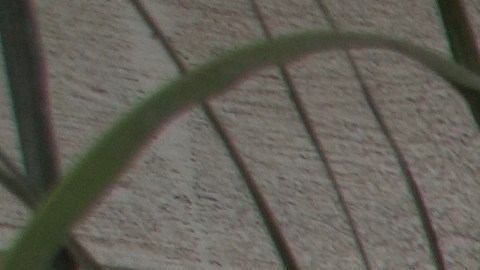 Acumulador