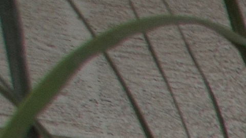 Acumulador