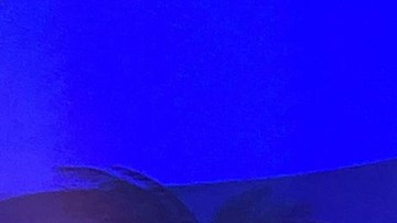 Adamari López y Quique Usales