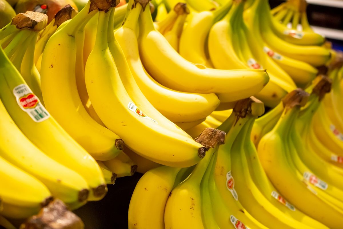 Más de 200 mil bananas Del Monte conformaron la exhibición de fruta más grande del mundo.
