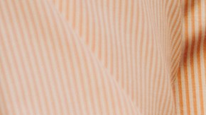 Revelación de género