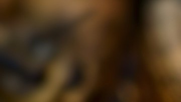 Las protuberancias miden cerca de 0,9 milímetros y su función permanece desconocida.