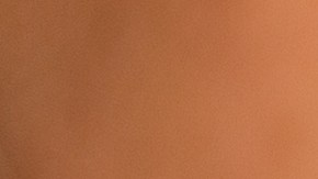 cines-aplomitas-de-maiz-cadena-de-suministro