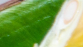 Cochinita pibil