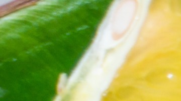 Cochinita pibil