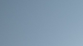 Al menos 2,000 vacas han muerto en Kansas por la ola de calor en el país.