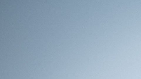Al menos 2,000 vacas han muerto en Kansas por la ola de calor en el país.