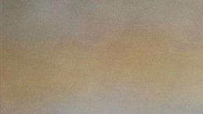 La perrita husky de nombre "Paca" encontró a la bebé muerta en 1985.