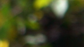 irs-declaracion-de-impuestos