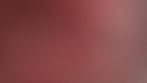 Los investigadores encontraron cerca de 8 mil huesos de ranas y sapos antiguos.