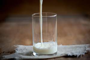 Investigadores vinculan el consumo de leche entera con el deterioro cognitivo en adultos mayores