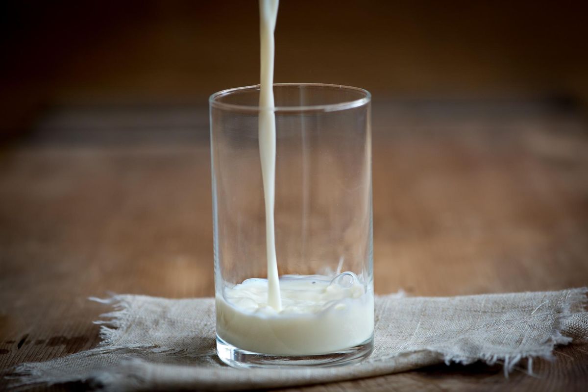 Descubren un vínculo entre el alto consumo de leche entera y el deterioro cognitivo en adultos mayores. 
