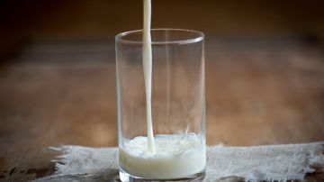 Descubren un vínculo entre el alto consumo de leche entera y el deterioro cognitivo en adultos mayores.