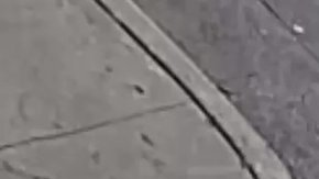 Uno de los sospechosos fue arrestado.