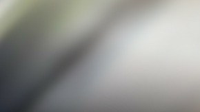 Tomizawa tiene Alzheimer, un trastorno neurológico progresivo e irreversible que destruye las neuronas.