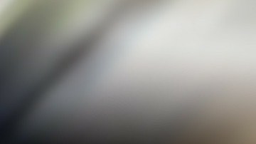 Tomizawa tiene Alzheimer, un trastorno neurológico progresivo e irreversible que destruye las neuronas.