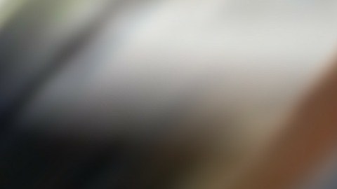 Tomizawa tiene Alzheimer, un trastorno neurológico progresivo e irreversible que destruye las neuronas.